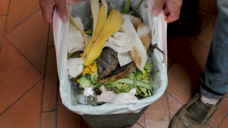 Best Dumpster Rental Services  in Merryville, LA